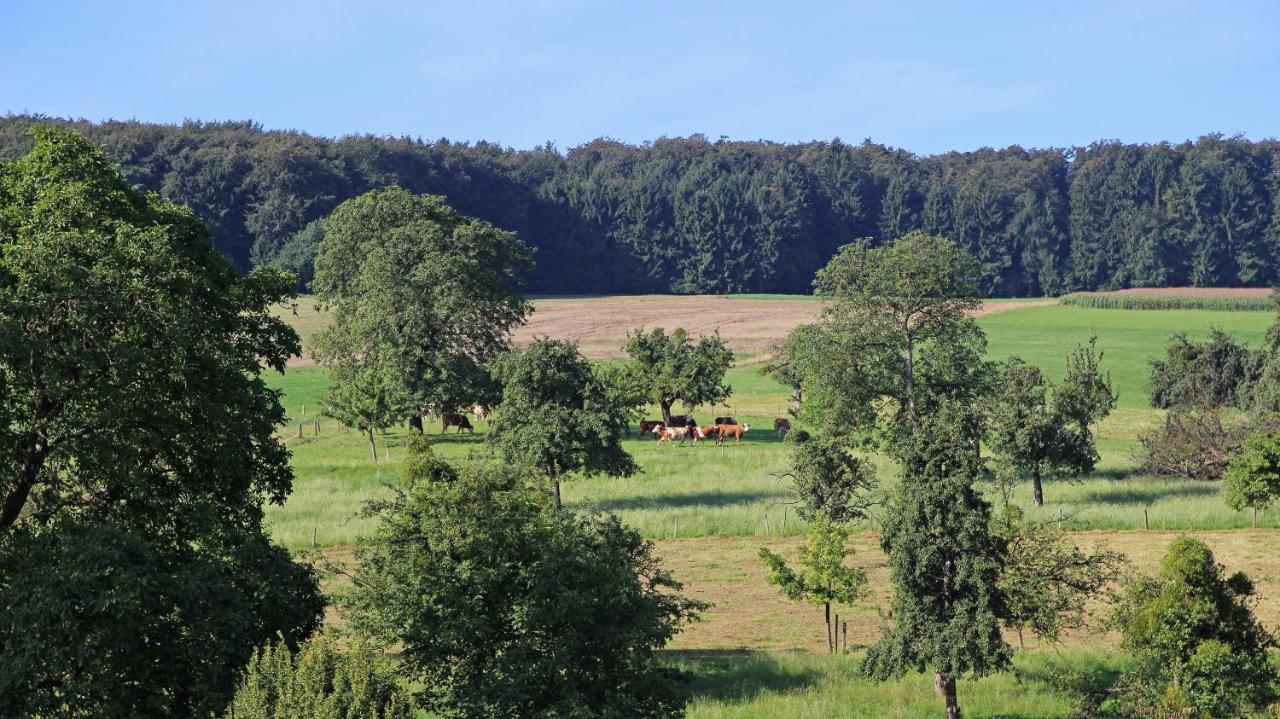 Ferienhof Knoll Lindenfels Luaran gambar