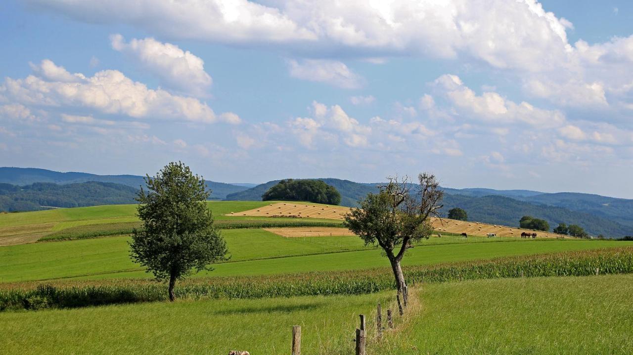 Ferienhof Knoll Lindenfels Luaran gambar